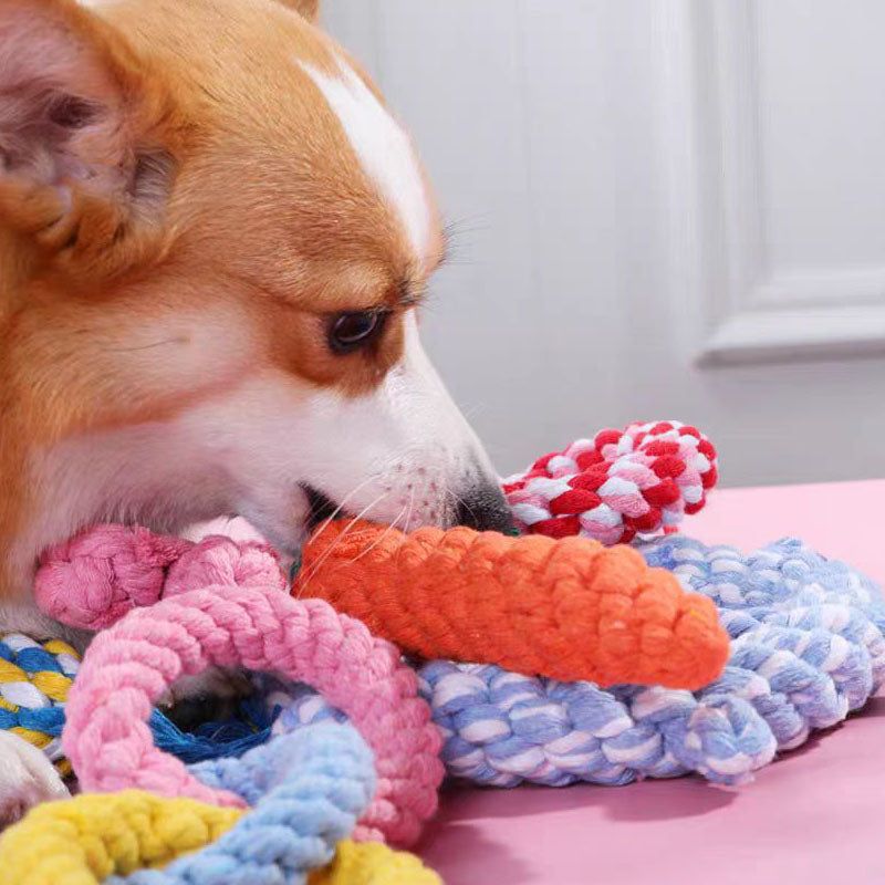 MRLS-028 The Dog Toy Knot, bears to bite the grinding tooth stick from high to relieve the boredom the divine instrument puppy puppy pet toy suppliesky Pet Dog Teeth Cleaning Chew Toy Pet Supplies